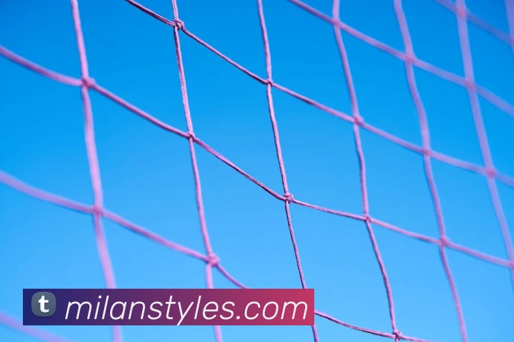 米兰体育平台生态图